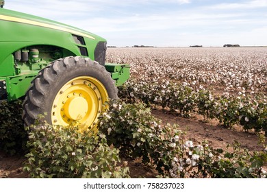 The Tractor Sits At The Cotton Plantation Farm Field Edge Waiting For Harvest