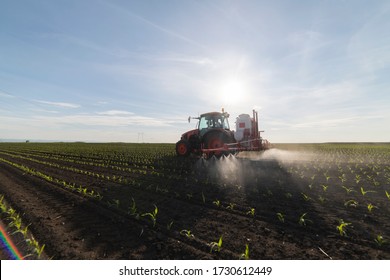 Tractor Spray Fertilize Field With Insecticide Herbicide Chemicals In Agriculture Field 