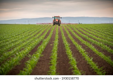 Tractor Spray Fertilize Field With Insecticide Herbicide Chemicals In Agriculture Field 