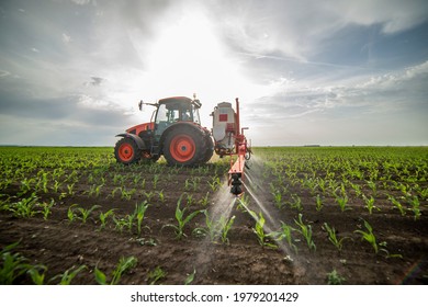 Tractor Spray Fertilize Field With Insecticide Herbicide Chemicals In Agriculture Field 