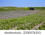 The tractor with sprayer on the fields of small farmers planted with carrots, onions, potatoes, cabbage, corn, wheat, beets, soybeans, beans, and other vegetables. The west of Ukraine in Lviv region.