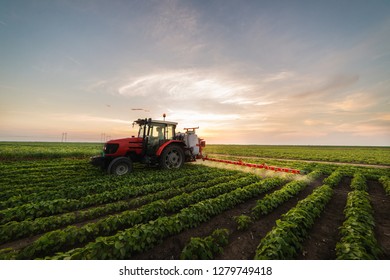 Tractor spraying a field of soybean - Shutterstock ID 1279749418