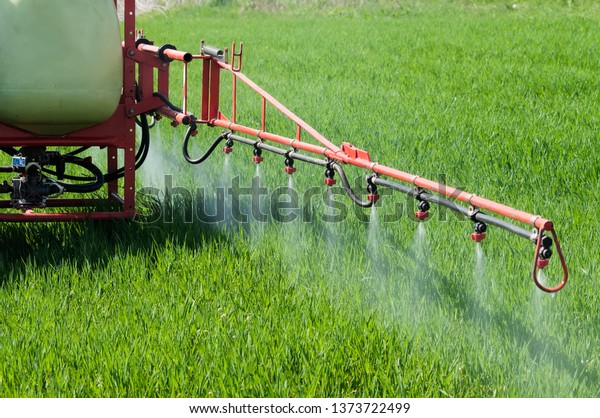 Tractor spraying herbicide over wheat field with\
sprayer. Agriculture, farming, GMO, pollution, contamination and\
environment concepts