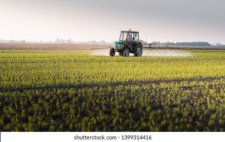 Tractor Spraying Pesticides At Corn Fields