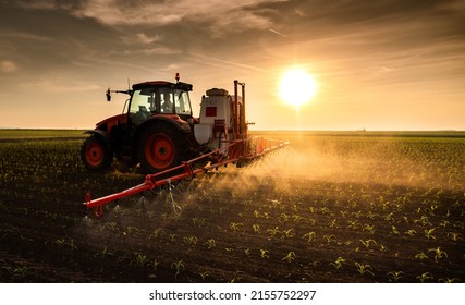 Tractor spraying pesticides on corn field  with sprayer at spring - Shutterstock ID 2155752297