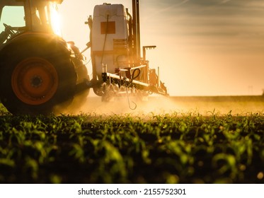 Tractor spraying pesticides on corn field  with sprayer at spring - Shutterstock ID 2155752301