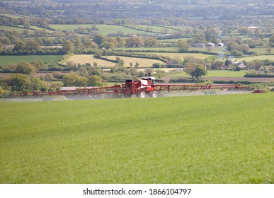 Tractor spraying pesticides on a rural green crop field