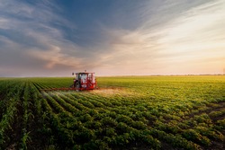 Трактор распыляет пестициды на соевое поле с опрыскивателем весной