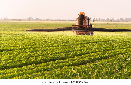 Tractor spraying pesticides on soy field  with sprayer at spring - Shutterstock ID 1618019764