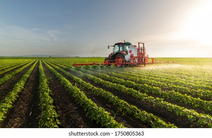 Tractor spraying pesticides on soy field  with sprayer at spring - Shutterstock ID 1750805363