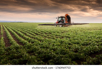 Tractor spraying pesticides on soy field  with sprayer at spring - Shutterstock ID 1760969753