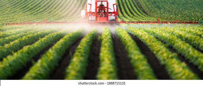 Tractor spraying pesticides on soy field  with sprayer at spring