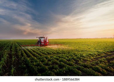 Tractor spraying pesticides on soy field  with sprayer at spring - Shutterstock ID 1889566384
