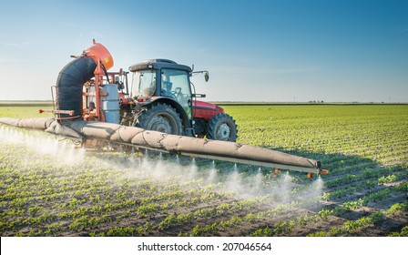 Tractor Spraying Pesticides On Soy Bean