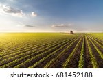 Tractor spraying pesticides on soybean field  with sprayer at spring