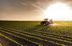 Tractor Spraying Pesticides On Soybean Field  With Sprayer At Spring