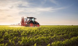 Tractor Spraying Pesticides On Soybean Field  With Sprayer At Spring