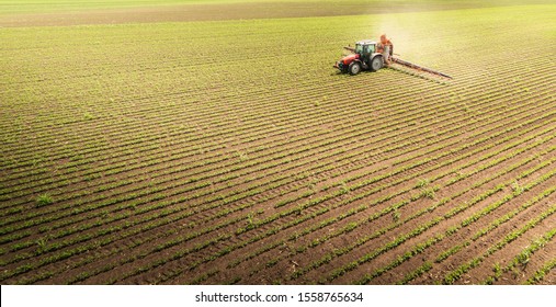 Tractor Spraying Pesticides On Soybean Field  With Sprayer At Spring