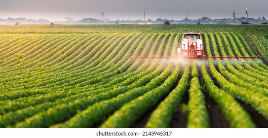 Tractor spraying pesticides on soybean field  with sprayer at spring - Shutterstock ID 2143945317