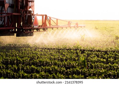 Tractor Spraying Pesticides On Soybean Field  With Sprayer At Spring