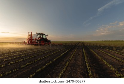 Tractor spraying pesticides on soybean field  with sprayer at spring