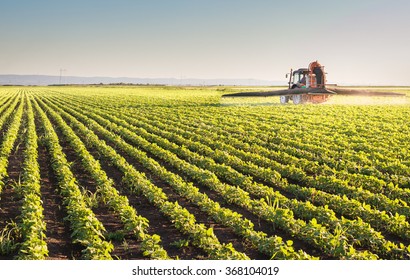 Tractor Spraying Pesticides On Soybean