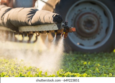 Tractor Spraying Pesticides On Soybean Field  With Sprayer At Spring