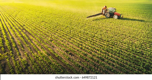 Tractor Spraying Pesticides On Soybean Field  With Sprayer At Spring