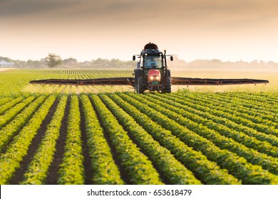 Tractor Spraying Pesticides On Soybean Field  With Sprayer At Spring