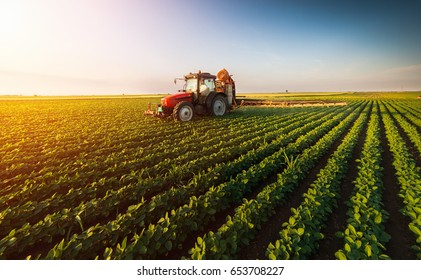 Tractor spraying pesticides on soybean field  with sprayer at spring - Shutterstock ID 653708227