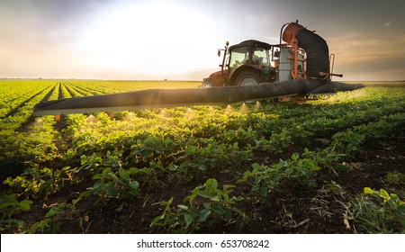 Tractor Spraying Pesticides On Soybean Field  With Sprayer At Spring