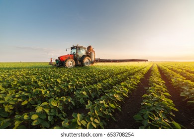 Tractor spraying pesticides on soybean field  with sprayer at spring - Shutterstock ID 653708254
