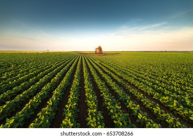 Tractor spraying pesticides on soybean field  with sprayer at spring - Shutterstock ID 653708266