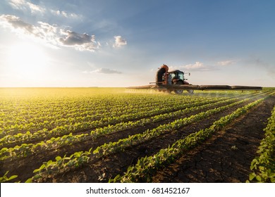 Tractor Spraying Pesticides On Soybean Field  With Sprayer At Spring