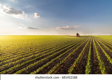 Tractor spraying pesticides on soybean field  with sprayer at spring - Shutterstock ID 681452188
