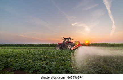 Tractor spraying pesticides on vegetable field  with sprayer at spring