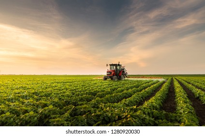 Tractor spraying pesticides at  soy bean fields - Shutterstock ID 1280920030