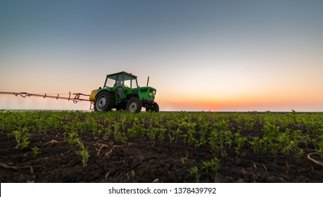 Tractor spraying pesticides at  soy bean fields - Shutterstock ID 1378439792