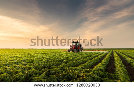 Tractor spraying pesticides at  soy bean fields