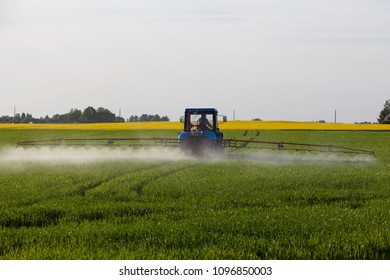 Tractor Spraying Plant Protection Products On A Green Wheat Field On A Sunny Summer Day In Bauska Area, Latvia