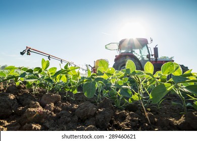 Tractor Spraying Soybean Crops With Pesticides And Herbicides