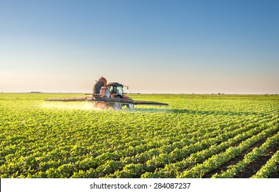 Tractor Spraying Soybean Field 