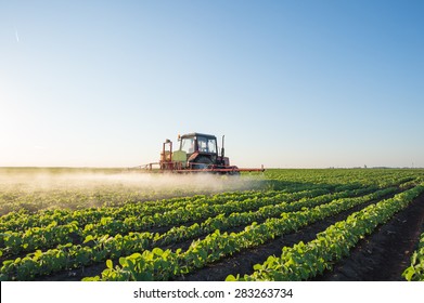 Tractor Spraying Soybean Field At Spring 