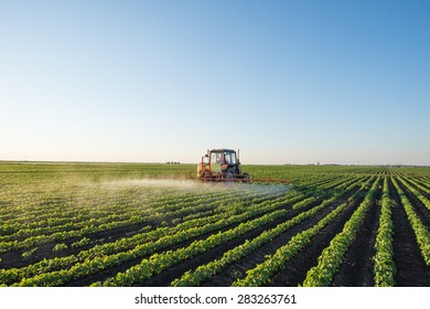 Tractor Spraying Soybean Field At Spring 