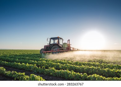 Tractor Spraying Soybean Field At Spring 