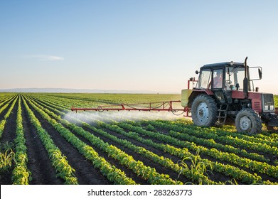 Tractor Spraying Soybean Field At Spring 