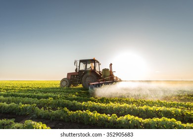 Tractor Spraying Soybean Field At Spring 