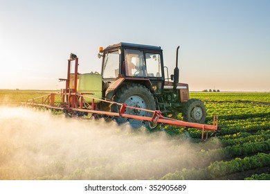 Tractor Spraying Soybean Field At Spring 