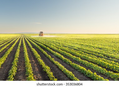 Tractor spraying soybean field at spring  - Shutterstock ID 353036804