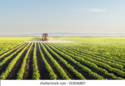 Tractor spraying soybean field at spring 